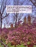 Ian Goodfellow et Yoshua Bengio - Deep Learning.