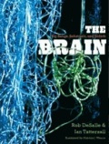 The Brain - Big Bangs, Behaviors, and Beliefs.