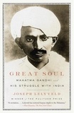 Great Soul - Mahatma Gandhi and His Struggle with India.
