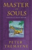 Master of Souls: A Mystery of Ancient Ireland.