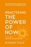 Eckhart Tolle - Practising the Power of Now.