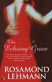 Rosamond Lehmann - The Echoing Grove.