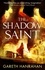 Gareth Hanrahan - The Shadow Saint - Book Two of the Black Iron Legacy.