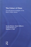 Nicola Rollock et David Gillborn - The Colour of Class - The educational strategies of the Black middle classes.