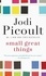 Jodi Picoult - Small Great Things.