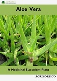  Agrihortico - Aloe Vera: A Medicinal Succulent Plant.