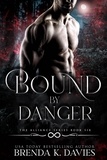  Brenda K. Davies - Bound by Danger (The Alliance, Book 6) - The Alliance, #6.