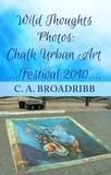  C. A. Broadribb - Wild Thoughts Photos:  Chalk Urban Art Festival 2010 - Wild Thoughts Photos, #4.