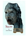  David Halliday - Snow - The Cases of Detective Sam Kelly, #3.