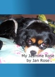  Jan Rose - My Jasmine Rose.