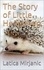  Latica Mirjanic - The Story of Little Hedgehog.