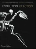 Jean-Baptiste de Panafieu et Patrick Gries - Evolution in Action - Natural History through Spectacular Skeletons.
