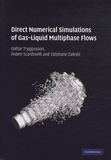 Grétar Tryggvason et Ruben Scardovelli - Direct Numerical Simulations of Gas-Liquid Multiphase Flows.