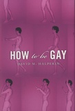 David Halperin - How to be Gay.