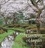  ATTLEE HELENA - Gardens of Japan.