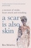 Ben Mckelvey - A Scar is Also Skin - A memoir of stroke, heart attack and remaking.