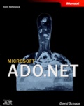 David Sceppa - Microsoft Ado.Net.