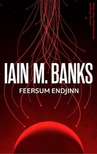 Iain M. Banks - Feersum Endjinn.