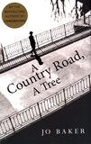 Jo Baker - A Country Road, A Tree.