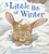 Paul Stewart et Chris Riddell - A Little Bit of Winter.