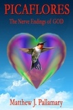  Matthew J. Pallamary - Picaflores: The Nerve Endings of God.