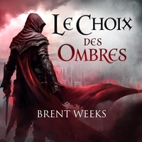 Brent Weeks et Barthelemy Heran - Le Choix des ombres.