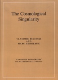 Vladimir Belinski et Marc Henneaux - The Cosmological Singularity.