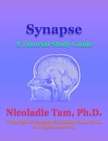  Nicoladie Tam - Synapse: A Tutorial Study Guide.