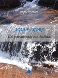  Bruno Pacheco - Aqui e Agora - 100 pensamentos zen-budistas.