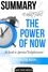  AntHiveMedia - Eckhart Tolle's The Power of Now: A Guide to Spiritual Enlightenment Summary.