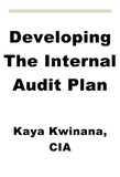  Kaya Kwinana - Developing The Internal Audit Plan.