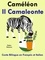  Pedro Paramo - Conte Bilingue en Italien et Français: Caméléon - Il Camaleonte - Apprendre l'talien pour les enfants, #5.