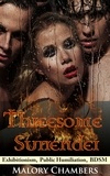  Malory Chambers - Threesome Surrender - Threesome Surrender.