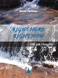  Bruno Pacheco - Right Here Right Now 100 Zen Thoughts.