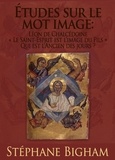  Steven Bigham - Études sur le mot image : Léon de Chalcédoine ; « Le Saint-Esprit est l’image du Fils » ; Qui est l’Ancien des jours ?.