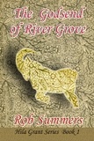  Rob Summers - The Godsend of River Grove - Hila Grant, #1.
