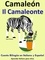  Pedro Paramo - Cuento Bilingüe en Español e Italiano: Camaleón - Il Camaleonte (Colección aprender Italiano) - Aprender Italiano para niños., #5.