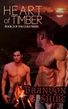  Brandon Shire - Heart of Timber (Gay Romance) - Cold, #2.