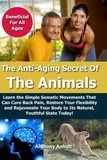  Anthony Anholt - Anti Aging Secret of the Animals – Learn the Simple Somatic Movements That Can Cure Back Pain, Restore Your Flexibility and Rejuvenate Your Body to Its Natural, Youthful State Today!.