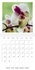 Ralf Kaiser - Des fleurs hautes en couleur (Calendrier mural 2017 300 × 300 mm Square) - Des fleurs de toute beauté et hautes en couleur (Calendrier mensuel, 14 Pages ).