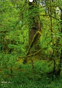 Géants verts de la forêt (Calendrier mural 2017 DIN A3 vertical). Arbres anciens et forêt tropicale de la côte nord-ouest américaine (Calendrier mensuel, 14 Pages )