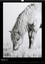 Brigitte Dumont - Peintures et dessins de chevaux (Calendrier mural 2017 DIN A3 vertical) - Chevaux: peintures et dessins (Calendrier mensuel, 14 Pages ).