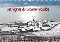 Pierre-Antoine Favre - Les vignes du Lavaux vaudois.