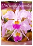 Gisela Kruse - CALVENDO Nature  : Petit paradis des orchidées (Calendrier mural 2024 DIN A3 horizontal), CALVENDO calendrier mensuel - Un coffre à trésors rempli de bijoux de fleurs.