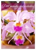 Gisela Kruse - CALVENDO Nature  : Petit paradis des orchidées (Calendrier mural 2024 DIN A4 horizontal), CALVENDO calendrier mensuel - Un coffre à trésors rempli de bijoux de fleurs.