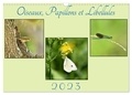 Philippe Meurant - CALVENDO Nature  : Oiseaux, Papillons et Libellules (Calendrier mural 2024 DIN A3 vertical), CALVENDO calendrier mensuel - Une année en compagnie de petits êtres de la nature.