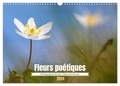 - elenarts elena Duvernay - CALVENDO Nature  : Fleurs poétiques (Calendrier mural 2024 DIN A3 vertical), CALVENDO calendrier mensuel - Photographies macro de petites fleurs en beauté.