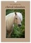 Stephanie Kohrt - CALVENDO Animaux  : Les couleurs du cheval islandais (Calendrier mural 2024 DIN A4 horizontal), CALVENDO calendrier mensuel - Portraits artistiques du petit cheval d'Islande.