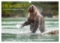 Philippe Henry - CALVENDO Animaux  : LE GRIZZLY de la Rivière Tatshenshini. Yukon (Calendrier mural 2024 DIN A3 vertical), CALVENDO calendrier mensuel - 13 photos de l'ours grizzly.