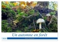 Alain Gaymard - CALVENDO Nature  : Un automne en forêt (Calendrier mural 2024 DIN A3 vertical), CALVENDO calendrier mensuel - Promenades en automne en forêt.